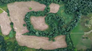 İnsansız hava aracı görüntüleri, doğal yeşil kuşaklar ve eğri orman kenarlarıyla çevrili hasat edilmiş alanların simetrik bir düzenini yakalar.