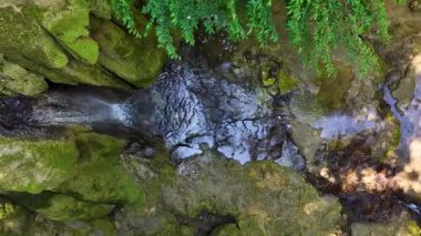 Yosunlu kayaların üzerinden akan küçük bir şelalenin yukarıdan görünen görüntüsü, kameranın soldan sağa doğru pürüzsüzce kayması