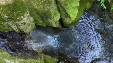 Yosun kaplı kayalar arasında akan suyun statik tepeden aşağı görüntüsü dar bir dereye akıyor.