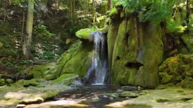 Miljacka Nehri 'nin kaynağı olan sakin bir orman ortamında yosun kaplı kayaların üzerinde kristal berrak kaynak suyu akıyor.