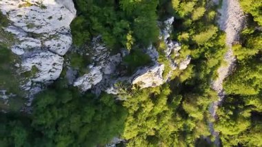 Dönek yol, dağın kalbinde saklanmış yeşilleri kesiyor.