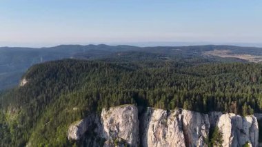 Dönek yol, dağın kalbinde saklanmış yeşilleri kesiyor.
