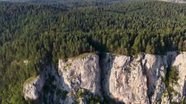 Dönek yol, dağın kalbinde saklanmış yeşilleri kesiyor.