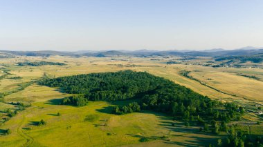 Yumuşak tepeler ve erken güneş ışığı ile çerçevelenmiş uçsuz bucaksız çayırlardan bir orman adası doğar.