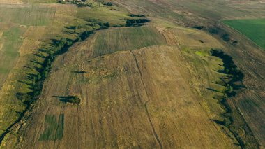 Kuru tarım alanlarını bölen derin vadilerle aşınmış kırsal arazinin havadan görünüşü