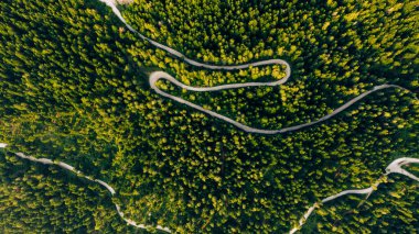 Yoğun çam ormanlarının arasından geçen sarmal orman yolu yılanları, baş döndürücü bir öğleden sonra ışığı altında yukarıdan yakalandılar.