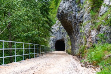 Çakıl yolu, kayaların arasından oyulmuş bir tünele çıkar. Etrafı sık ormanlarla çevrilidir.