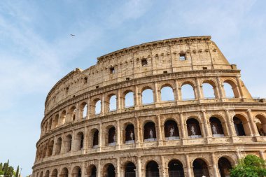 Roma, İtalya 'daki Colosseum, ikonik antik amfi tiyatrosu, mavi gökyüzünün altında sıralanmış kemerler ve güneş taşı cepheleri.
