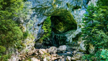 Engebeli kayaları olan doğal kemer köprüsü ve altında orman tarafından çerçevelenmiş bir dağ deresi.