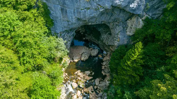 Altından akan, yemyeşil ormanlarla çevrili doğal bir taştan kemerin havadan görünüşü.