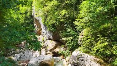 Miljacka Nehri 'nin yukarıdan görünüşü ormanla çevrili kayalık vadiyi kesiyor.