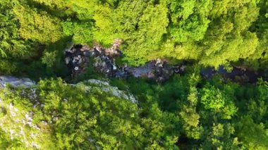 Miljacka nehrinin kayalık kanyon ormanlarında koşan insansız hava aracı görüntüsü