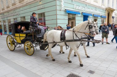 Viyana, Avusturya 7 Ekim 2017 Orta Viyana 'da faytoncu ve turistlerle geleneksel at arabası gezisi.