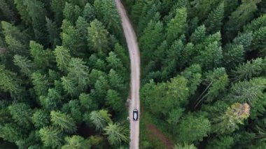 Araç, kozalaklı ağaçlarla çevrili kırsal bir toprak yolda giderken yukarıdan yakalandı..