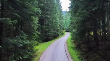 İHA uçuşu boş manzaralı bir yol gösteriyor Highland bölgesindeki uzun kozalaklı ormanı kesiyor..