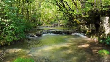 4K hava görüntüleri Rakitnica nehri boyunca yoğun ağaçlarla çevrili..