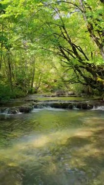 İHA videosu sığ Rakitnica nehri üzerinde ilerliyor. Ormanla çevrili..