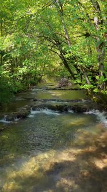 Bosna ormanlarının yukarısından nehir suyu akışının insansız hava aracı görüntüleri.