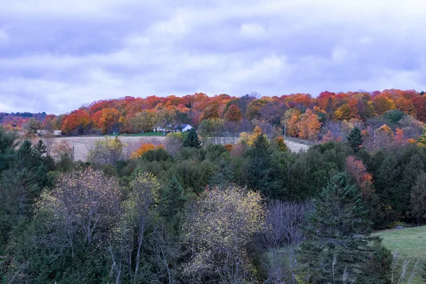 Barevný Svah Peachamu Vermont Podzimní Listí — Stock fotografie
