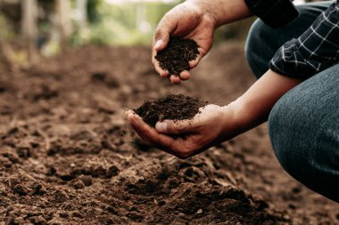 Hand of farmer inspecting soil health before planting in organic farm. Soil quality Agriculture, gardening concept.