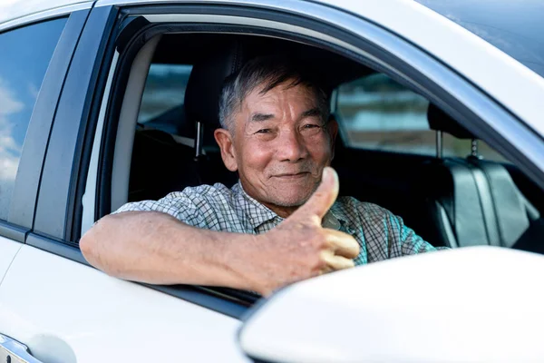 Forny Kørekort Til Ældre Rejser Gamle Mennesker Koncept Asiatisk Senior - Stock-foto