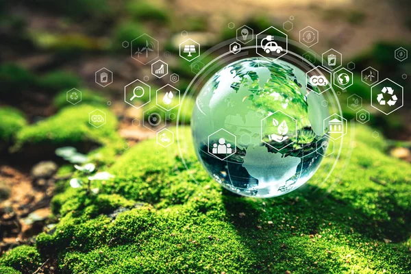 環境アイコンを持つ苔の上に置くクリスタルグローブ 世界を保存し 持続可能な環境コンセプト — ストック写真