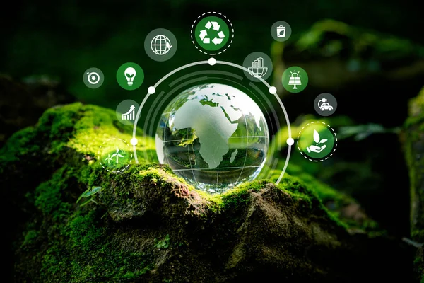 Światowa Koncepcja Zrównoważonego Środowiska Kryształowy Glob Zakładający Mech Ikonami Środowiska — Zdjęcie stockowe