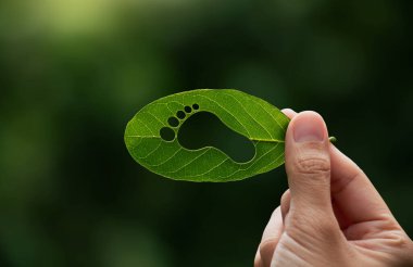 Hand of human is holding green leaf with carbon footprint, renewable energy carbon and business goverment concept. clipart