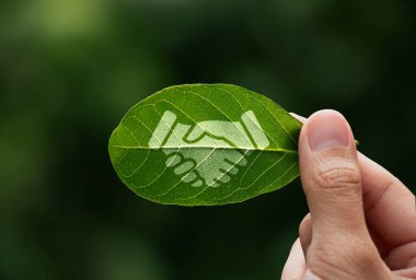 İnsan eli, tokalaşma ikonu, çevre sosyal ve yönetim veya ESG, iklim değişikliğini önleme amaçlı organizasyonun işbirliği üzerine boyanmış yeşil yaprak tutuyor..