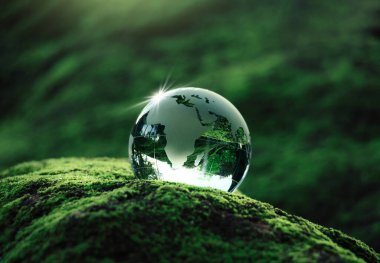 Kristal küre yosun, ekoloji ortamı sürdürülebilir ve karbon kredisi ESG işbirliği kavramını oluşturuyor.