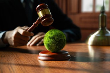 Jude 'un Eli dünyaya tahta tokmak, çevre hukuku ve iklim değişikliği, dünya ve çevre sürdürülebilir koruma kavramı çerçevesi konulu protokol konulu uluslararası anlaşmayla vuruyor..