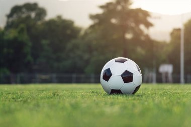 Çim sahası gençlik akademisi antrenmanı, futbol sporu ve egzersiz konsepti üzerine futbol topu.