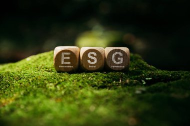 ESG - Çevre Sosyal ve Yönetim, ahşap küplerin kısaltması Yosun ESG, Dünya sürdürülebilir çevre kavramı.