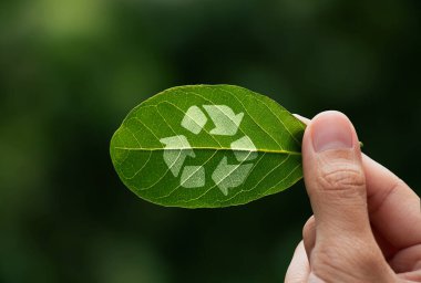 Hand of human is holding painted green leaf with recycle arrow, renewable energy carbon and business ESG goverment concept. clipart