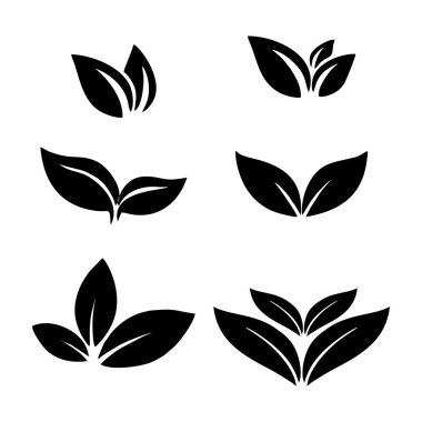 Beyaz arkaplanda izole edilmiş yaprak simgeleri.