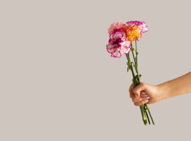 Gri arka planda çiçek açan bir buket çiçek tutan bir kadın. Asgari doğa konsepti. Anneler günü kartı. Boşluğu kopyala.