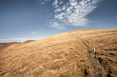 Sonbaharda Alpler arasında bir dağ çayırı