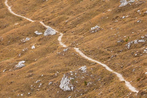 Seul Sentier Longe Une Pente Milieu Automnal Dans Les Dolomites — Photo