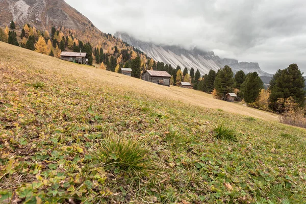 Niektóre Górskie Siano Dolomitach Wspaniałą Panoramą Jesienią — Zdjęcie stockowe
