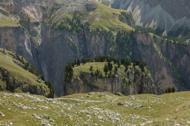 Üzerinde çam ağaçları ve çayır olan ıssız bir dağın tepesi.