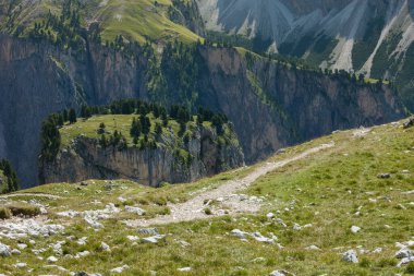 Üzerinde çam ağaçları ve çayır olan ıssız bir dağın tepesi.