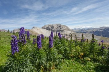 Val Gardena 'daki Dolomitler arasında geniş bir dağlık vadi manzarası vardır (Arka planda Puez grubu)