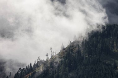 Dolomitlerin ormanlarının arasında bulutlu bir gün.