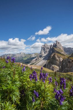 İtalyan Dolomitlerindeki Seceda bölgesinin manzarası