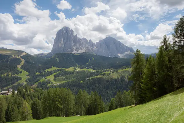 Dolomitlerdeki dağlık bir otlaktan Sasso Lungo grubuna geniş bir bakış açısı