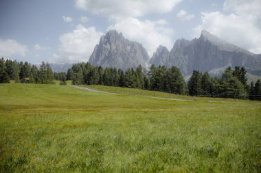 Sciliar 'ın kuzey tarafındaki geniş çayırlar Dolomitler' deki Alpe di Siusi bölgesinden geliyor.