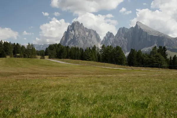 Sciliar 'ın kuzey tarafındaki geniş çayırlar Dolomitler' deki Alpe di Siusi bölgesinden geliyor.