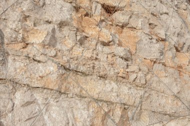 Ormandaki yeni metal ağlar, dağ yamacı boyunca uzanan yuvarlanan taşları engelliyor.