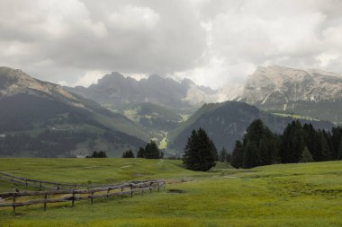 Bulutlu bir günde Val Gardena bölgesindeki yeşil çayırlarda geniş görüş