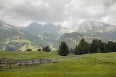 Bulutlu bir günde Val Gardena bölgesindeki yeşil çayırlarda geniş görüş
